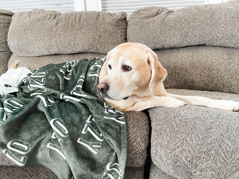 Personalized Blanket for Dog, Dog Blanket, plush dog blanket, dog name blanket, gift for dog lover, puppy name blanket, new puppy gift image 2