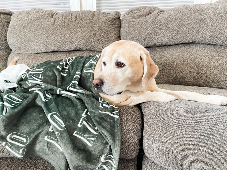 Personalized Blanket for Dog, Dog Blanket, plush dog blanket, dog name blanket, gift for dog lover, puppy name blanket, new puppy gift bild 2