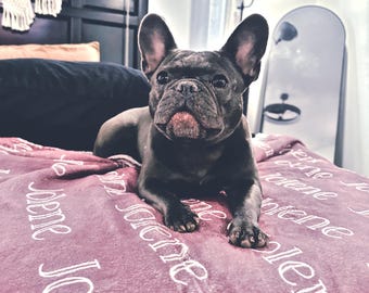 May include: A black French bulldog sitting on a pink blanket with the word "Jolene" repeated on it.