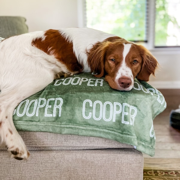 Personalized Blanket for Dog, Dog Blanket, plush dog blanket, dog name blanket, gift for dog lover, puppy name blanket, new puppy gift