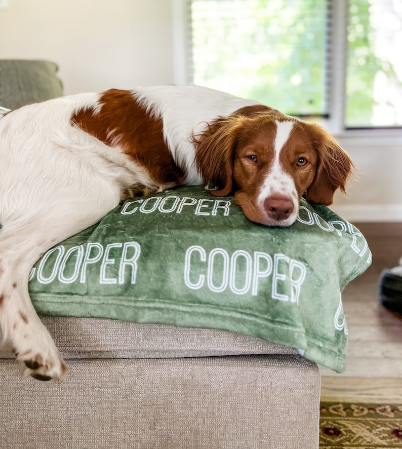 Personalized Blanket for Dog, Dog Blanket, plush dog blanket, dog name blanket, gift for dog lover, puppy name blanket, new puppy gift image 1