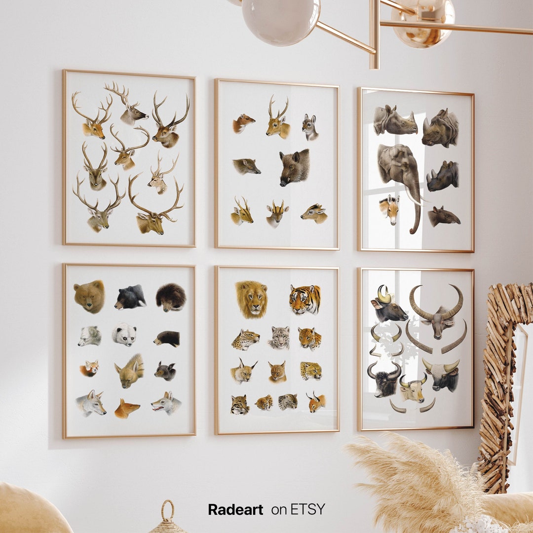 Animal Wall Art Set of 6 Animal Poster Kids Children Etsy