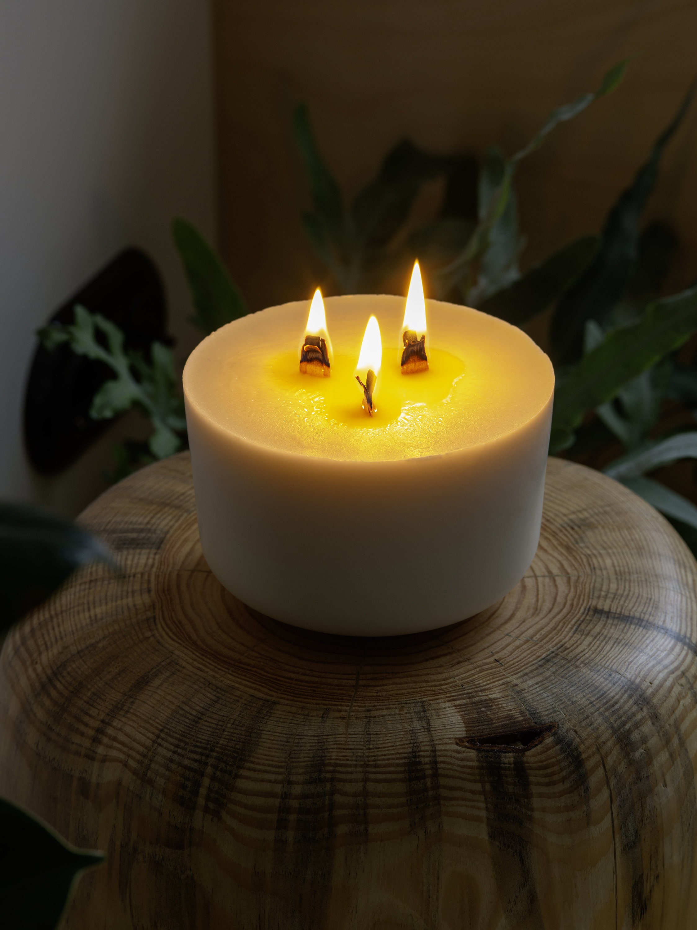 Extra Large Candle Sweet Tobacco Round Candle With Wooden Etsy