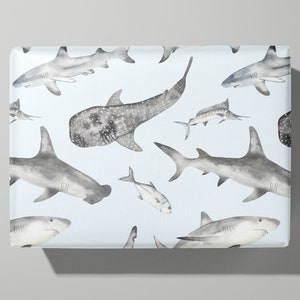 Carta da regalo / Carta da regalo con squali - Regalo ideale