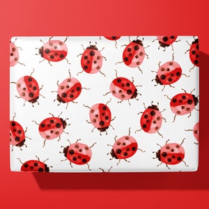 Carta da regalo Coccinella/Coccinella - Illustrata a mano - Carta da regalo - Regalo ideale