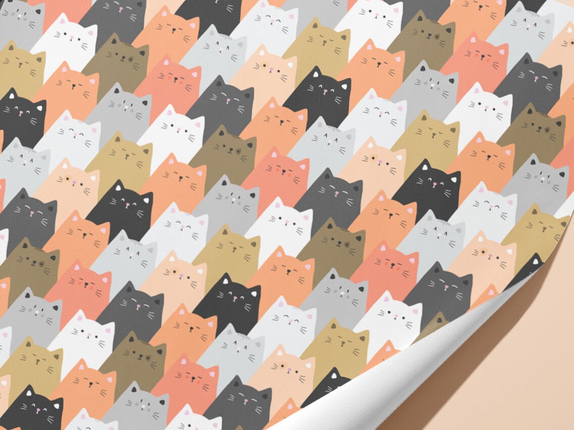 Funky Cat Wrapping Paper / Gift Wrap Pet Gifts Birthday Etsy UK