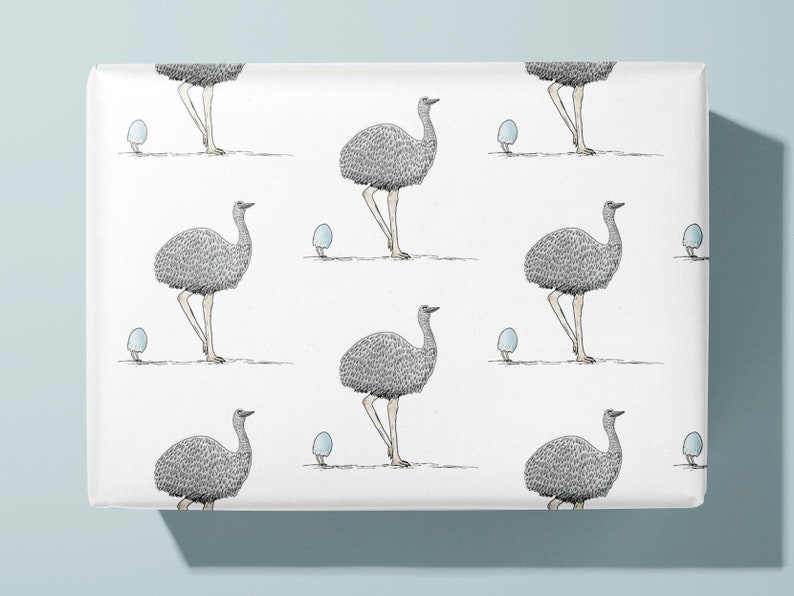 Newborn wrapping paper / Emu and chic gift wrap image 2