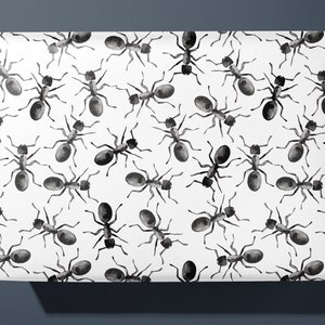 Ant Wrapping Paper for nature lovers Hand Illustrated Gift Wrap image 1