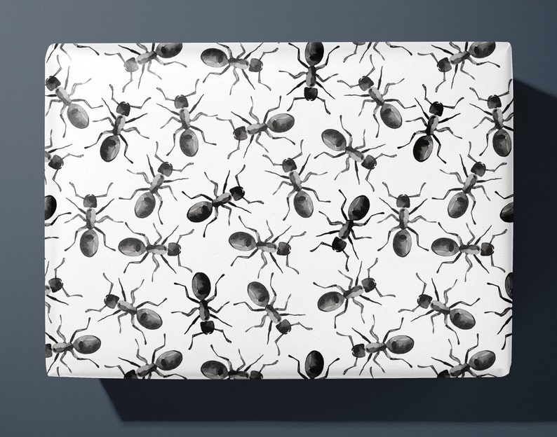 Ant Wrapping Paper for nature lovers Hand Illustrated Gift Wrap image 1