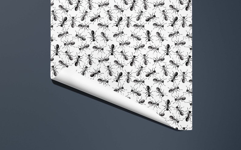 Ant Wrapping Paper for nature lovers Hand Illustrated Gift Wrap image 3