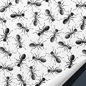 Ant Wrapping Paper for nature lovers Hand Illustrated Gift Wrap image 2