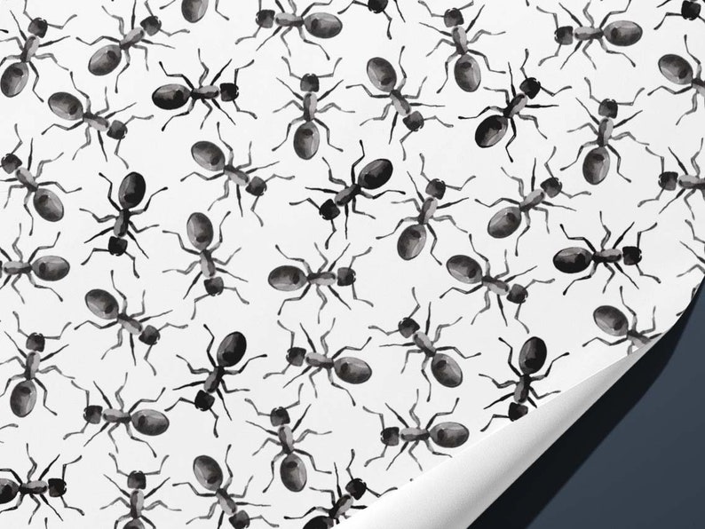 Ant Wrapping Paper for nature lovers Hand Illustrated Gift Wrap image 2