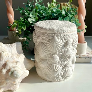 Coastal Seashell Jar with Lid | Handmade Jesmonite Storage Jar | Beach House Decor | Jewelry, Cotton Ball & Keepsake Container