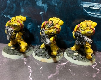 WH40k Warhammer 40k Primaris Imperial Fist Eradicator Squad Indomitus Tabletop Miniature