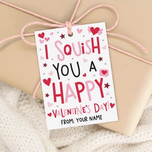 May include: A Valentine's Day gift tag with the message "I Squish You A Happy Valentine's Day!" in pink and red. The tag is decorated with hearts and stars and tied with pink twine to a wrapped gift.