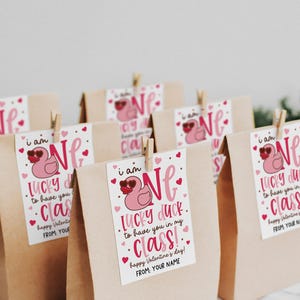 Printable lucky duck Valentine gift tag clipped to a brown paper treat bag, with a pink duck wearing heart sunglasses, bold “ONE LUCKY DUCK” lettering, scattered pink hearts, and gold dots, ideal for teachers to print, cut, and attach to classroom student Valentine favors.