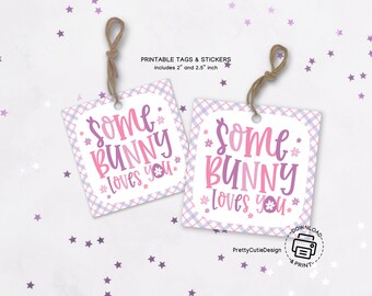 Easter Printable Gift Tags, Some Bunny Loves You Easter Gift Tags, Happy Easter Classroom Treat Tags, Square Gift Tag or Favor Stickers