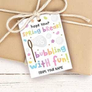 May include: A gift tag with the text "hope your SPRING break! is bubbling with fun!" in colorful letters. The tag includes a bubble wand graphic and is tied to a brown package with twine.