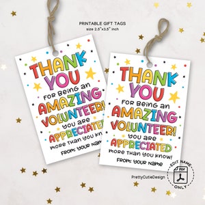 Volunteer Appreciation Gift Tag Printable, Amazing Volunteer Thank You Tags, Printable Thank You Volunteer Tags, Volunteer Appreciation Tags