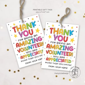 Volunteer Appreciation Gift Tag Printable, Amazing Volunteer Thank You Tags, Printable Thank You Volunteer Tags, Volunteer Appreciation Tags