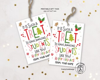 Holiday Student Gift Tags Printable, Teacher Christmas Treat Labels, Digital Download