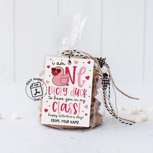 Printable Valentine treat bag tag with a duck pun, pink hearts, and fun modern fonts, designed so teachers or parents can personalize with their name, then print, cut, and secure to classroom favor bags for students, friends, or classmates on Valentine’s Day.