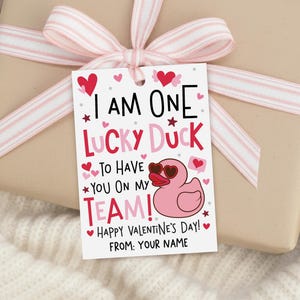 May include: A gift tag with the text "I AM ONE LUCKY DUCK TO HAVE YOU ON MY TEAM! HAPPY VALENTINE'S DAY! FROM: YOUR NAME" is attached to a wrapped gift with a pink ribbon. The tag features a pink duck wearing heart-shaped sunglasses.