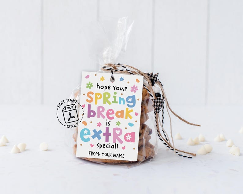 LG Imports 6 Large Themed Party Bags – 16x22x9 Cm, Durable Eco-Friendly Paper, For Children, All Occasions (PP129)