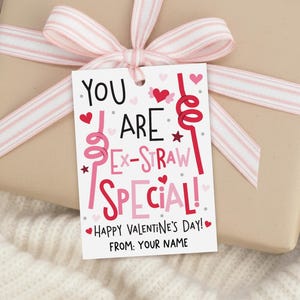 May include: A wrapped gift with a pink and white striped ribbon and a Valentine's Day gift tag. The tag reads "YOU ARE EX-STRAW SPECIAL! HAPPY VALENTINE'S DAY! FROM: YOUR NAME" in black, red, and pink lettering.