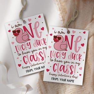 Valentine classroom tag printable attached to brown paper sacks using mini clothespins, showcasing a cute duck graphic, heart accents, and bold lettering, meant for teachers to quickly assemble thoughtful student gifts, snack bags, or party favors for the whole class.