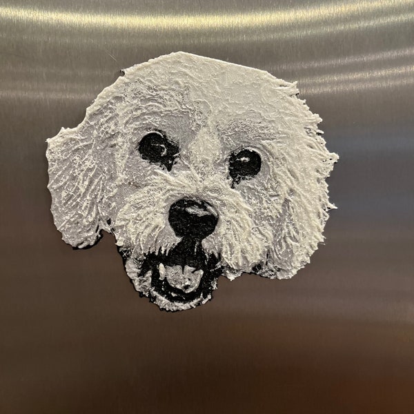 Personalized 3d Printed Pet Magnet (Custom designed and 3D printed for your pet, by a fellow pet lover)