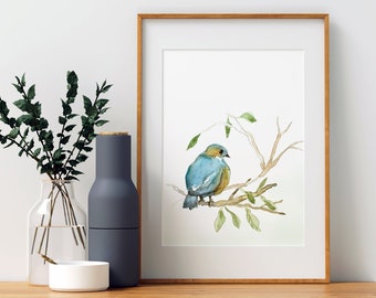 Rotkehlchen Kunstdruck: Vogel Aquarell