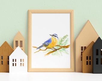 Vogelkunstdruk: blauwe boomklever-aquarel