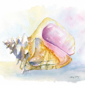 Sea shell Print, Watercolor Wall Art, Conch Shell Painting, Spider Conch image 10