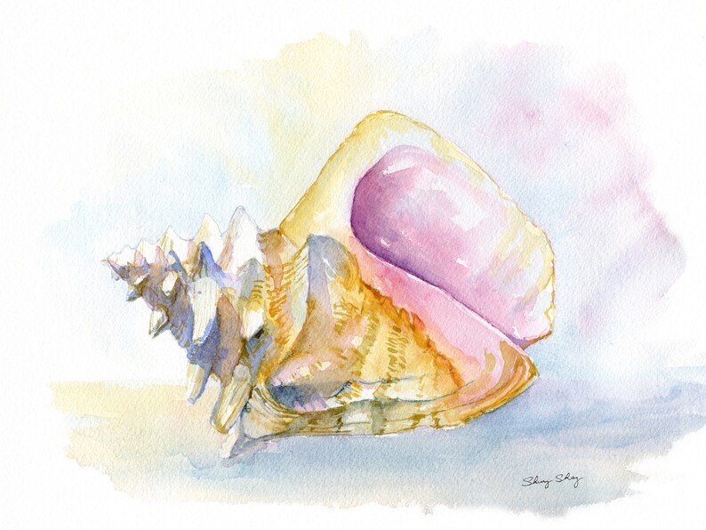 Sea shell Print, Watercolor Wall Art, Conch Shell Painting, Spider Conch image 10