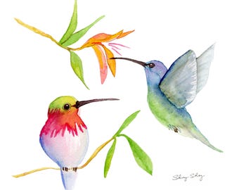 Hummingbird Print: Bird Art of Original Watercolor Painting