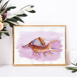 Sea shell Print, Watercolor Wall Art, Conch Shell Painting, Spider Conch image 1