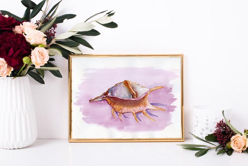 Sea shell Print, Watercolor Wall Art, Conch Shell Painting, Spider Conch image 1