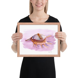 Sea shell Print, Watercolor Wall Art, Conch Shell Painting, Spider Conch 11x14 inches