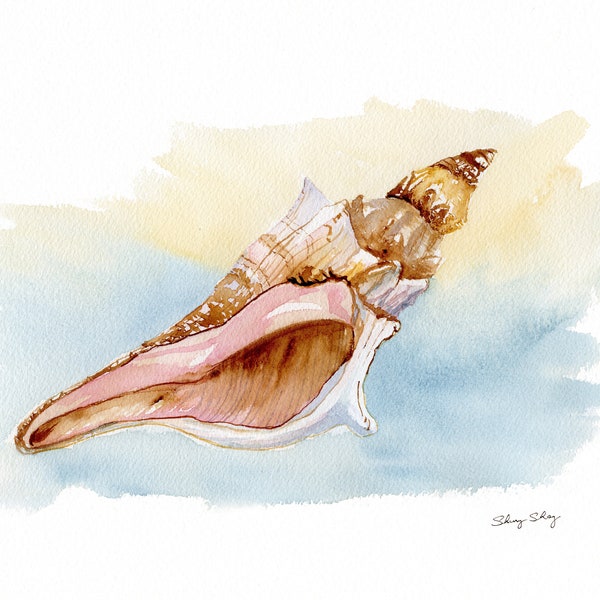 Sea Shell Print, Conch Shell Art, Watercolor Painting, King's Crown Conch, gift art