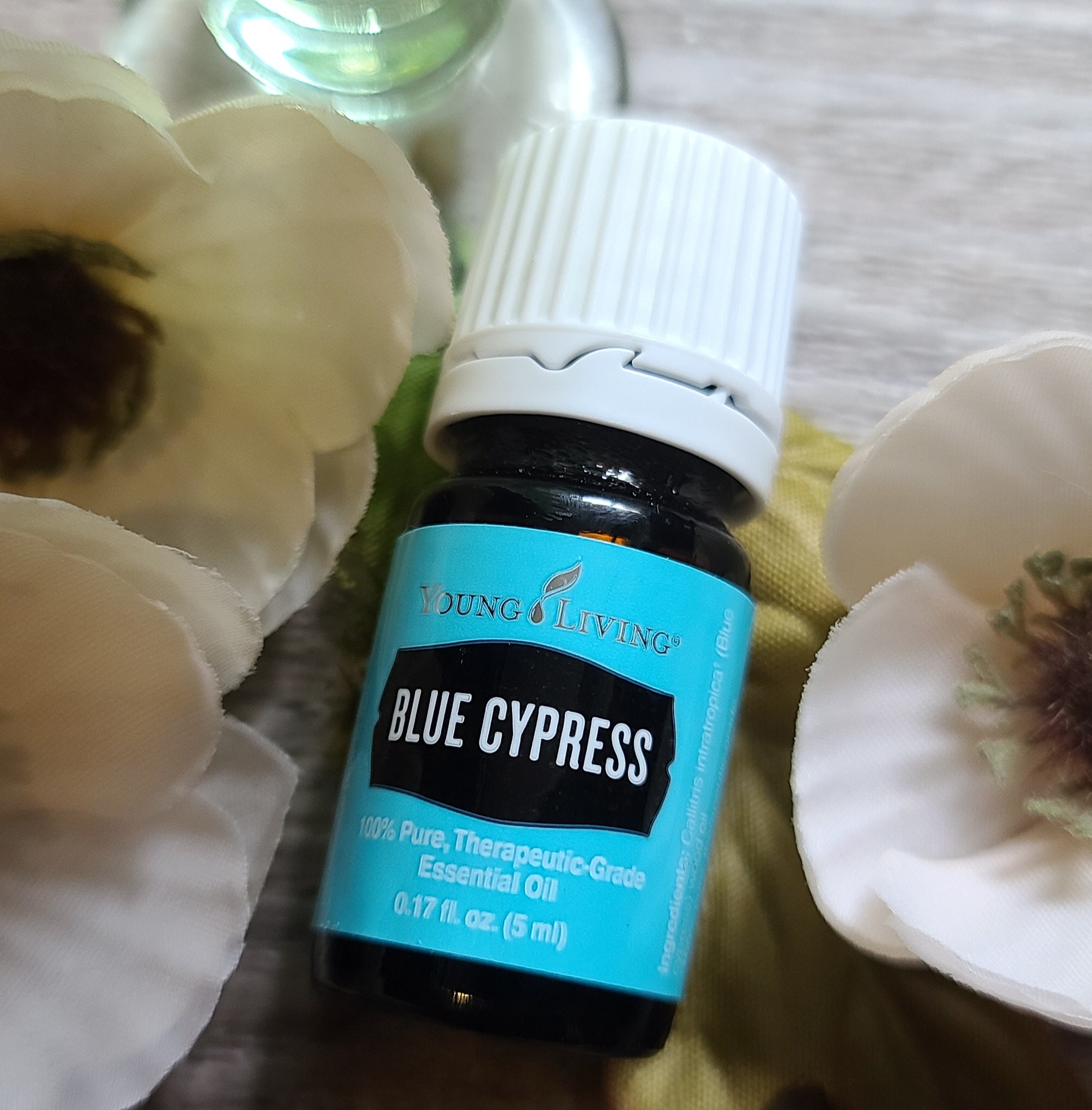 Blue Cypress 5ml Essential Oil Young Living Etsy UK