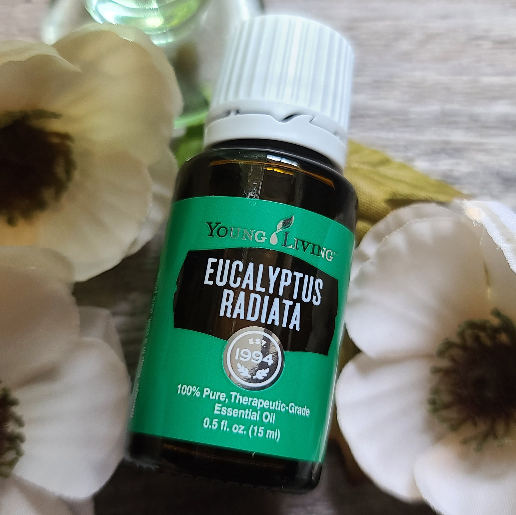 Eucalyptus Radiata 15ml Essential Oil Young Living