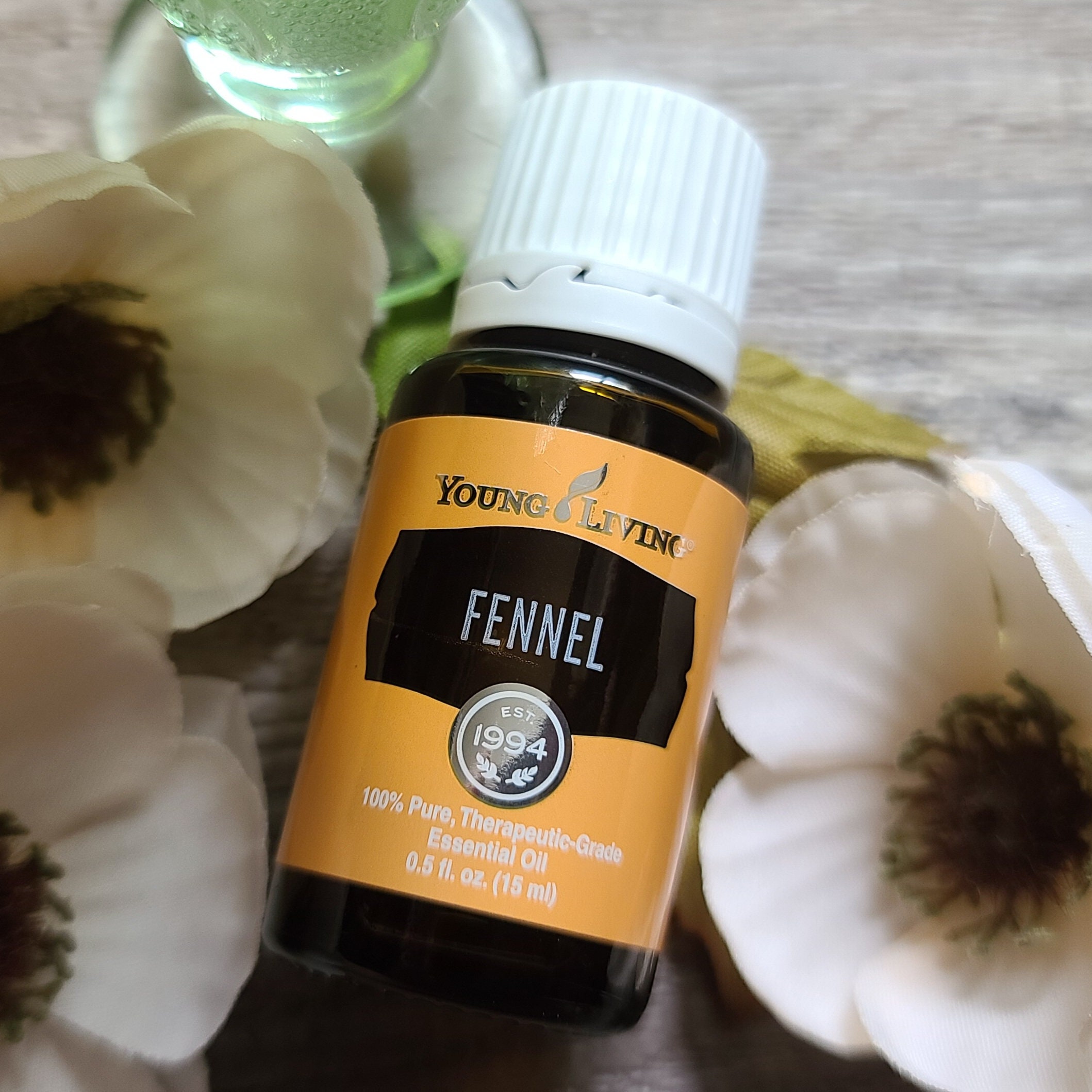 Fennel 15ml Essential Oil Young Living Etsy