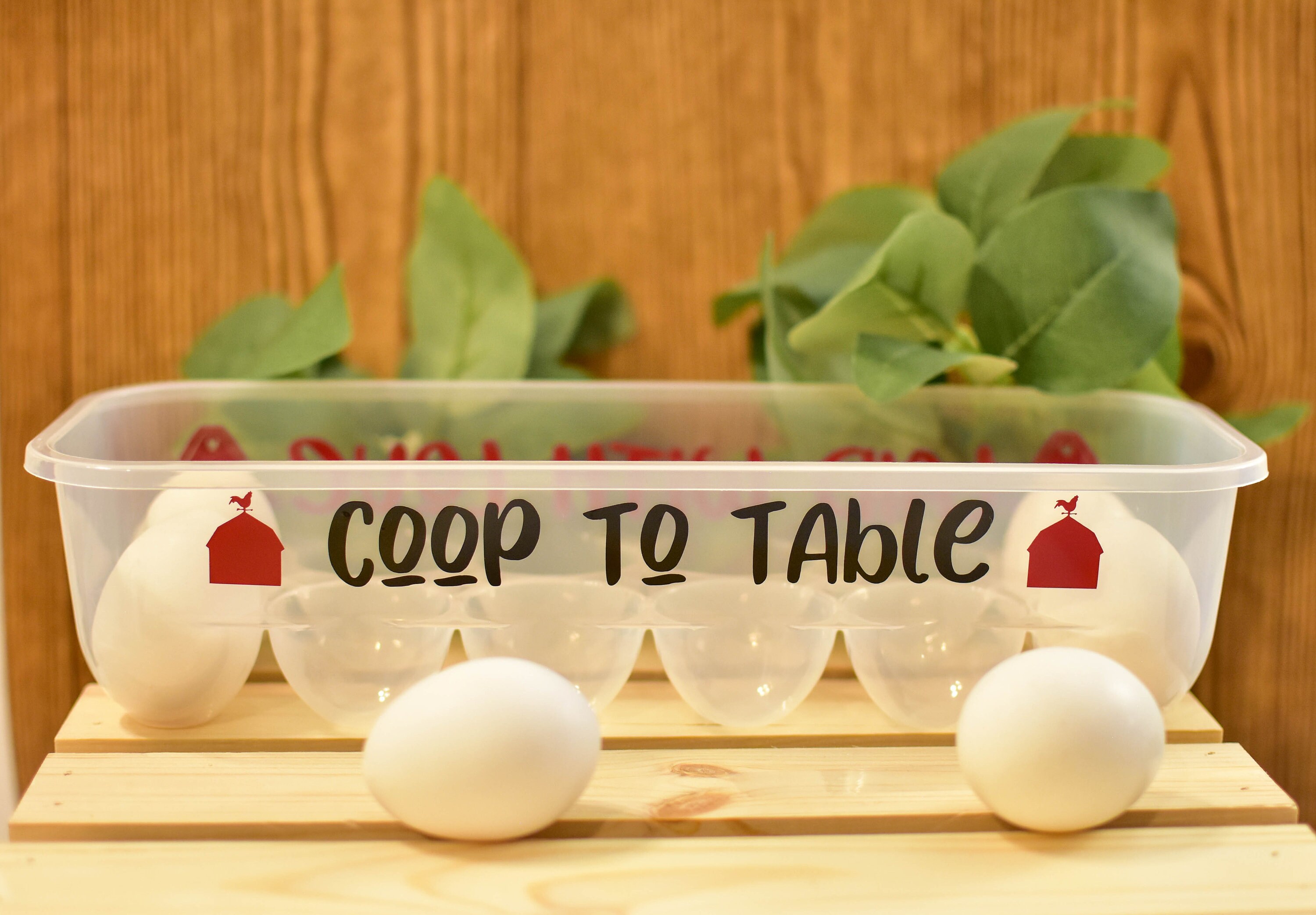 Reusable Egg Cartons Personalized Chicken Egg Container Funny Etsy