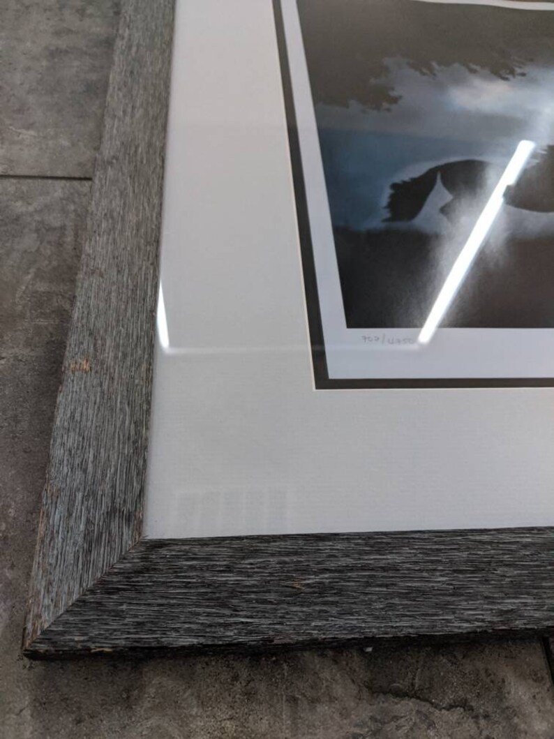 The Whisperer/'s Horse by Robert Vara Photography Collage