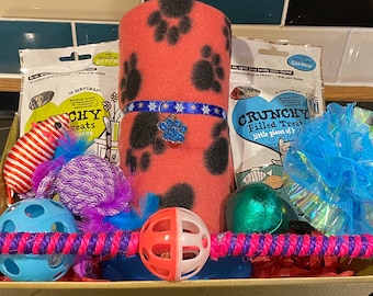 Cat Gift Hamper: Kitten Starter Pack with Toys & Treats