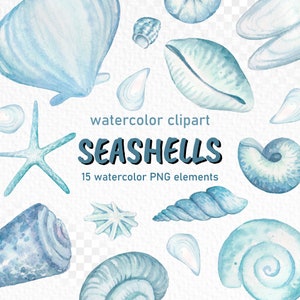Conchas de clíparta de acuarela. Tema de verano impreso-náutico: estrellas de mar, casement y conchas espirales. Archivos PNG de alta calidad. Descarga instantánea