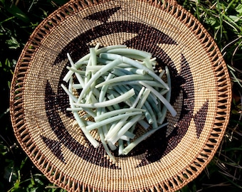 May include: A woven basket with a brown and beige pattern holds a pile of light green, dried plant stems.