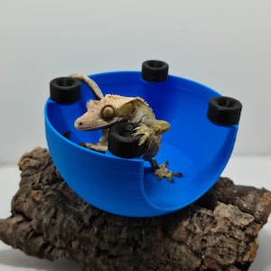 Gecko Sky Hide - Magnetic Gecko Hammock, Reptile, Reptile Accessories, Reptile Decor, Reptile Hammock, Reptile Hide, Reptile Hides, Reptile