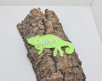 Personalised Trioceros Hoehnelii Name Tag